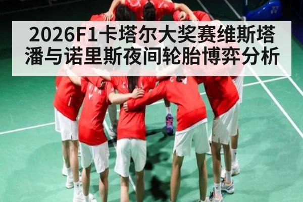 2026F1卡塔尔大奖赛维斯塔潘与诺里斯夜间轮胎博弈分析